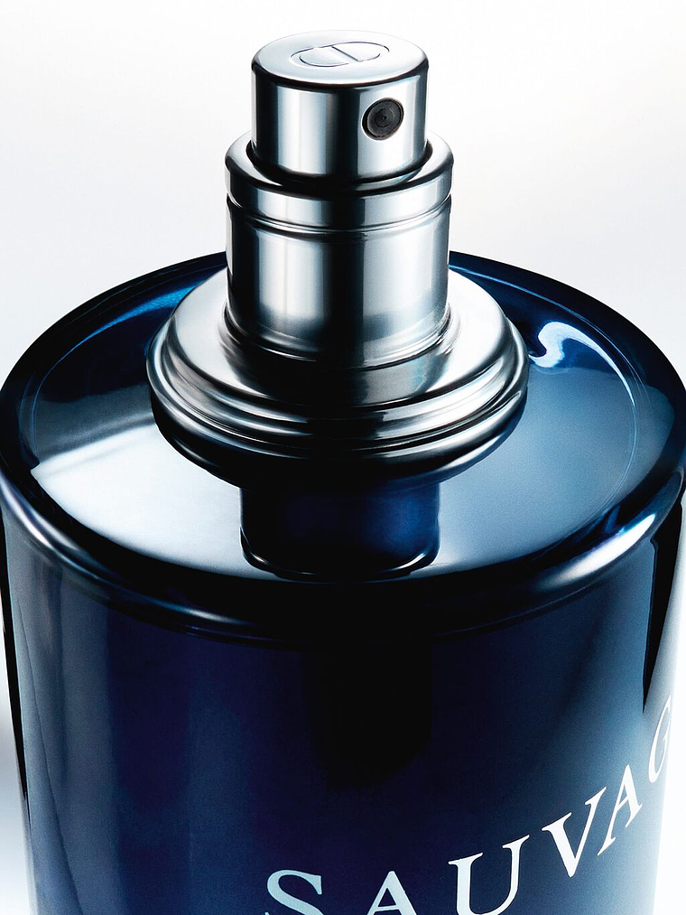 Dior Sauvage Eau de Toilette 100 ml 4