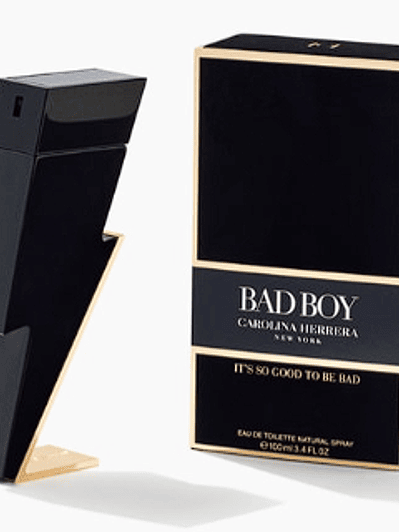 Bad Boy 100ml Eau de Toilette