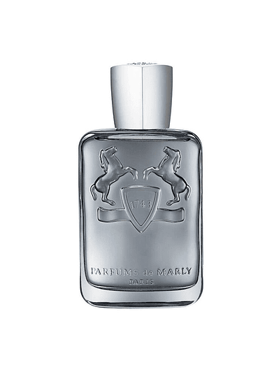 Castley Eau de Parfum 125 ml