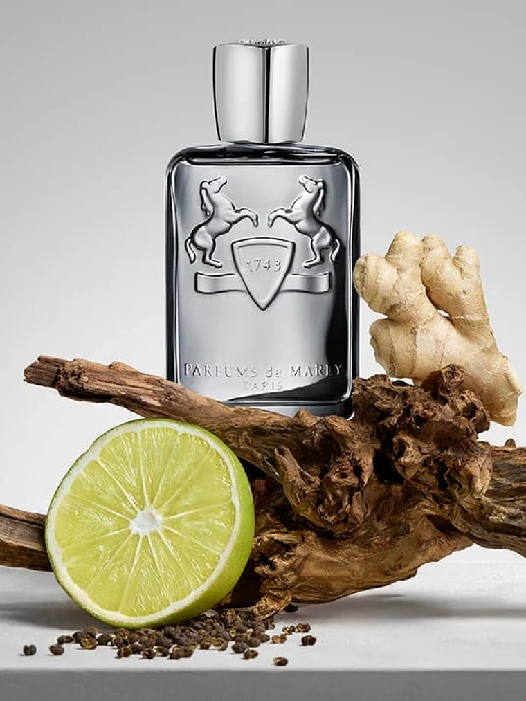 Castley Eau de Parfum 125 ml 3