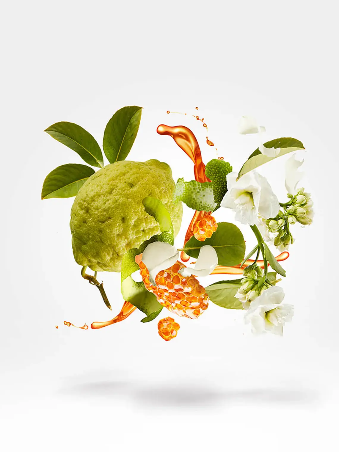 Xerjoff Naxos Eau de Parfum 3