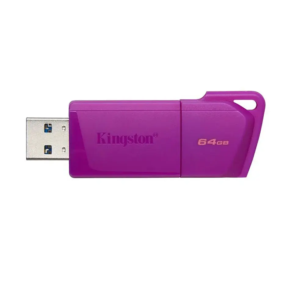 Pendrive Kingston Unidad Flash Datatraveler Exodia 64Gb Purple  , Usb 3.2 1