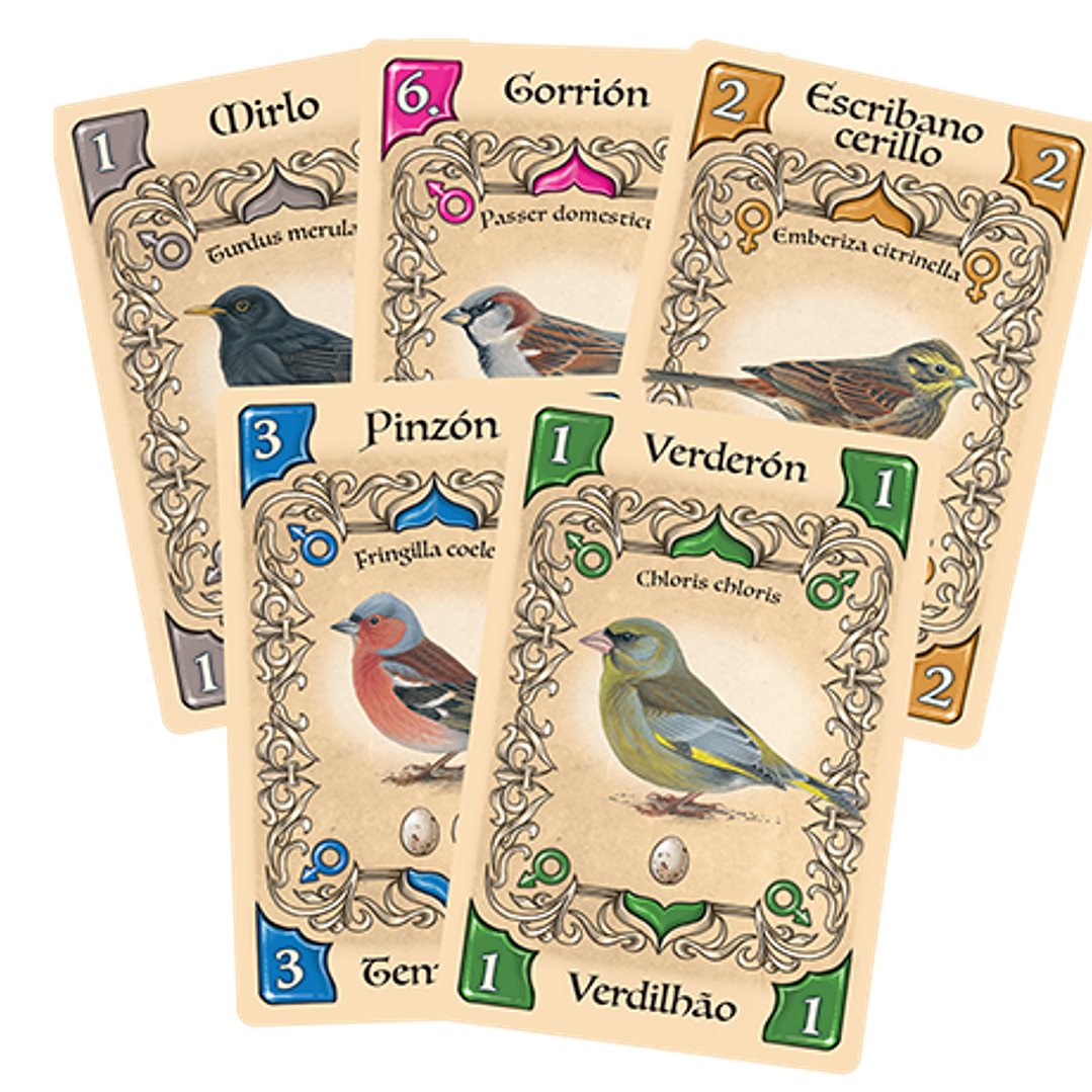 Pájaros Cantores - Español 2