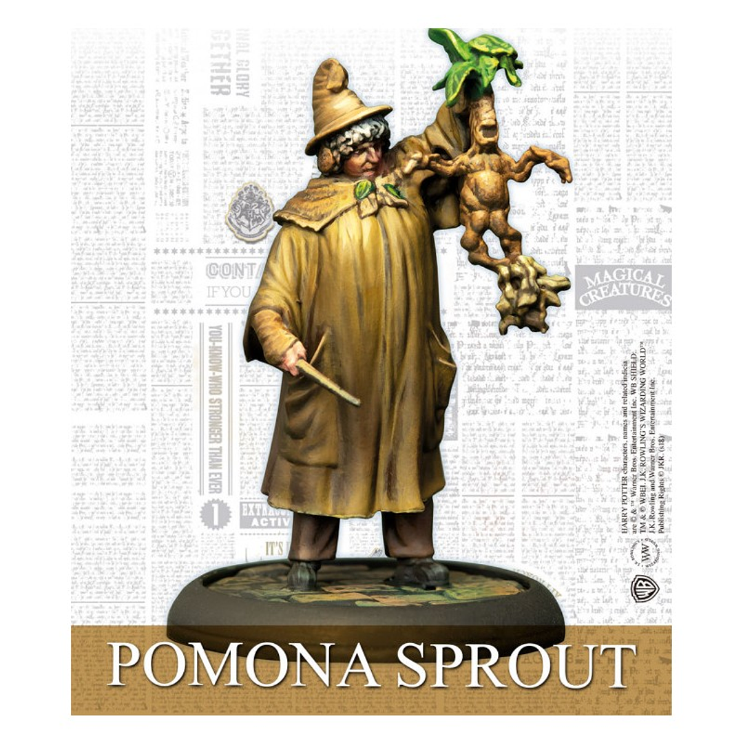 Preventa - Maestros de Hogwarts - Español 4