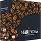 Mariposas - Ingles - Miniatura 1