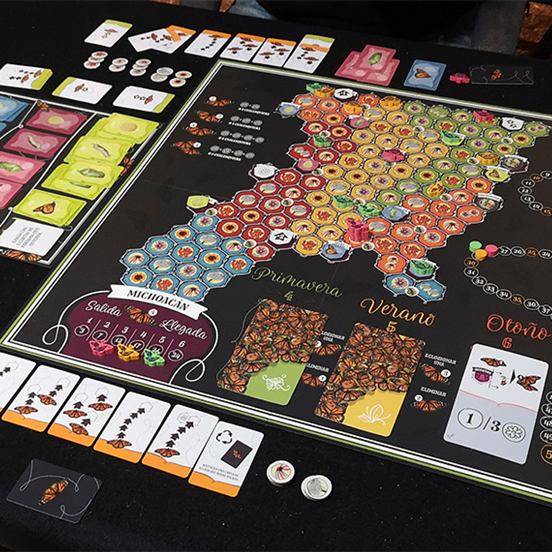 Mariposas - Ingles 2