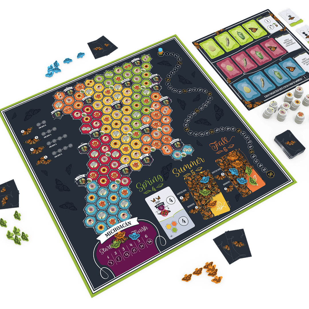 Mariposas - Ingles 3