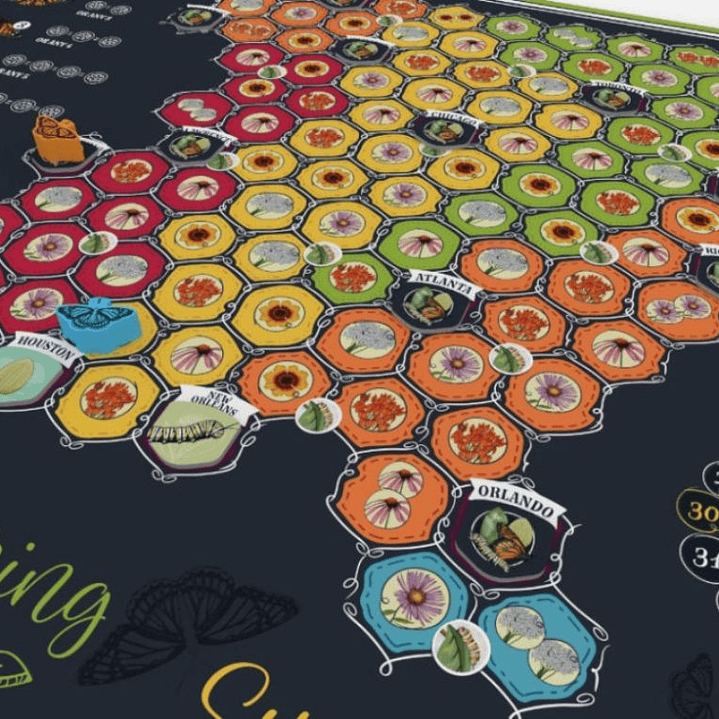 Mariposas - Ingles 4