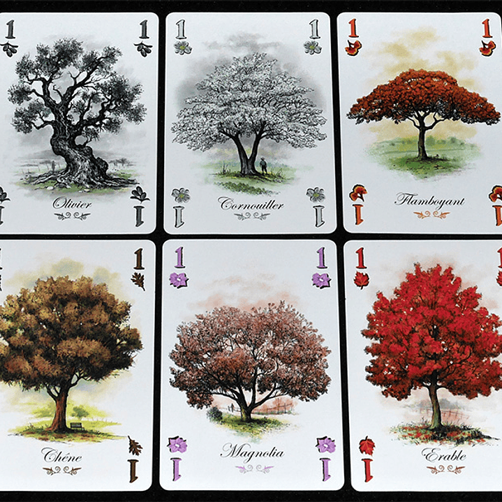 Arboretum - Español 3