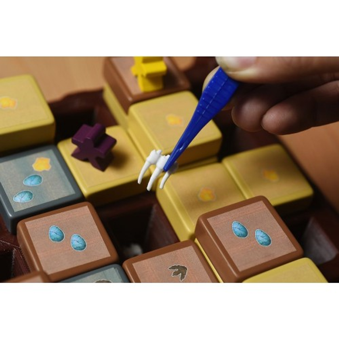 Fossilis - Español 4