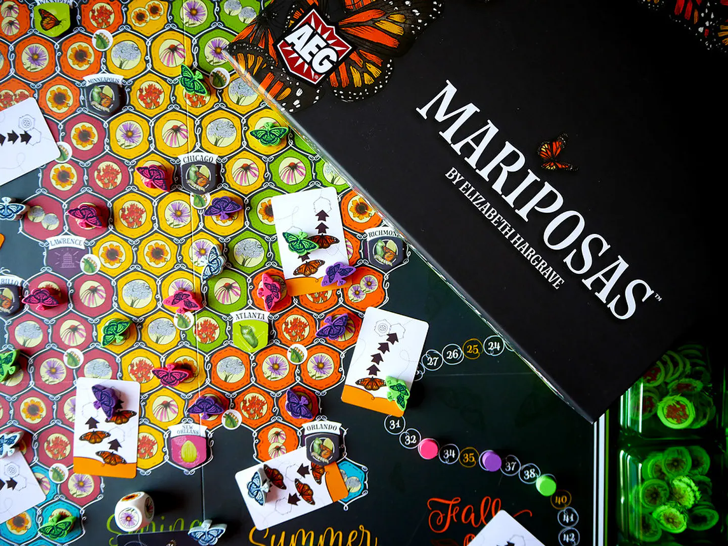 Mariposas - Español 3