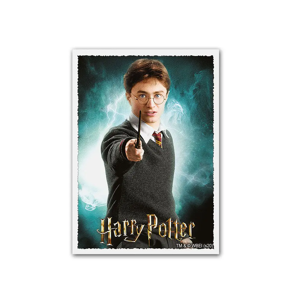 Dragon Shield - WizardingWorld - Harry Potter - Sleeves (100) 2