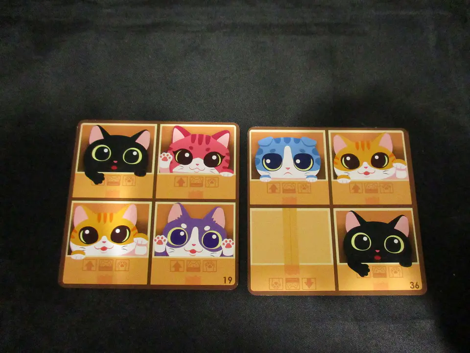 CatBox - Español 2