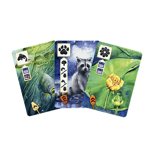 Pradera Río Abajo - Español