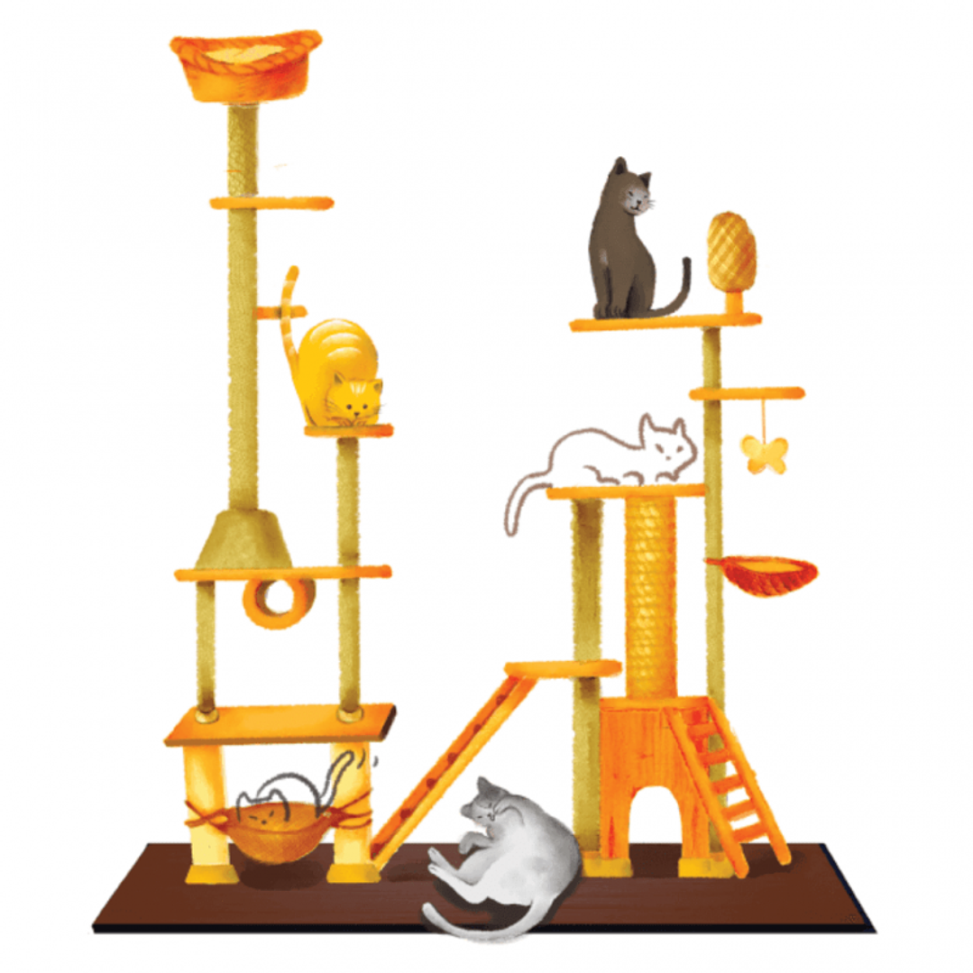 Preventa - CAT CAFÉ - Español 2