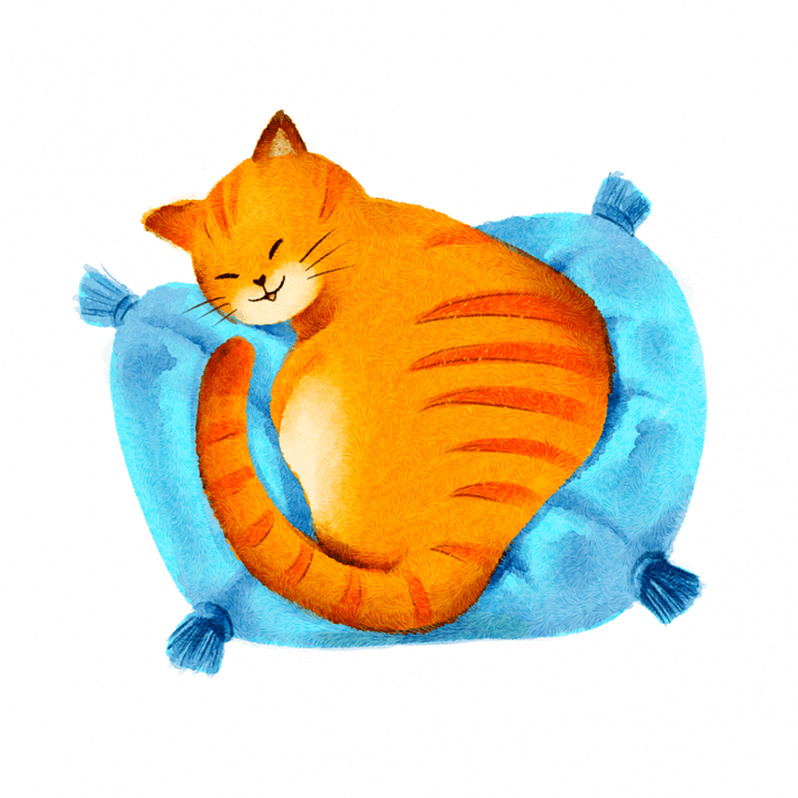 Preventa - CAT CAFÉ - Español 4