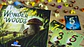 Wonder Woods - Español - Miniatura 2