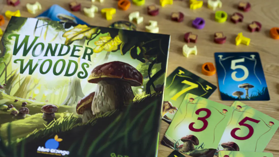 Wonder Woods - Español 2