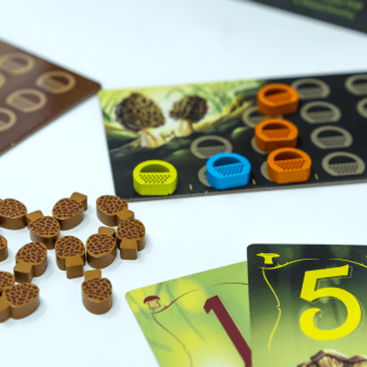 Wonder Woods - Español 3