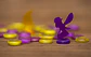Fairy Trails - Español - Miniatura 2
