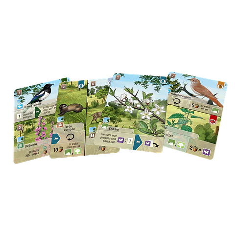 Forest Shuffle Linde del bosque - Español