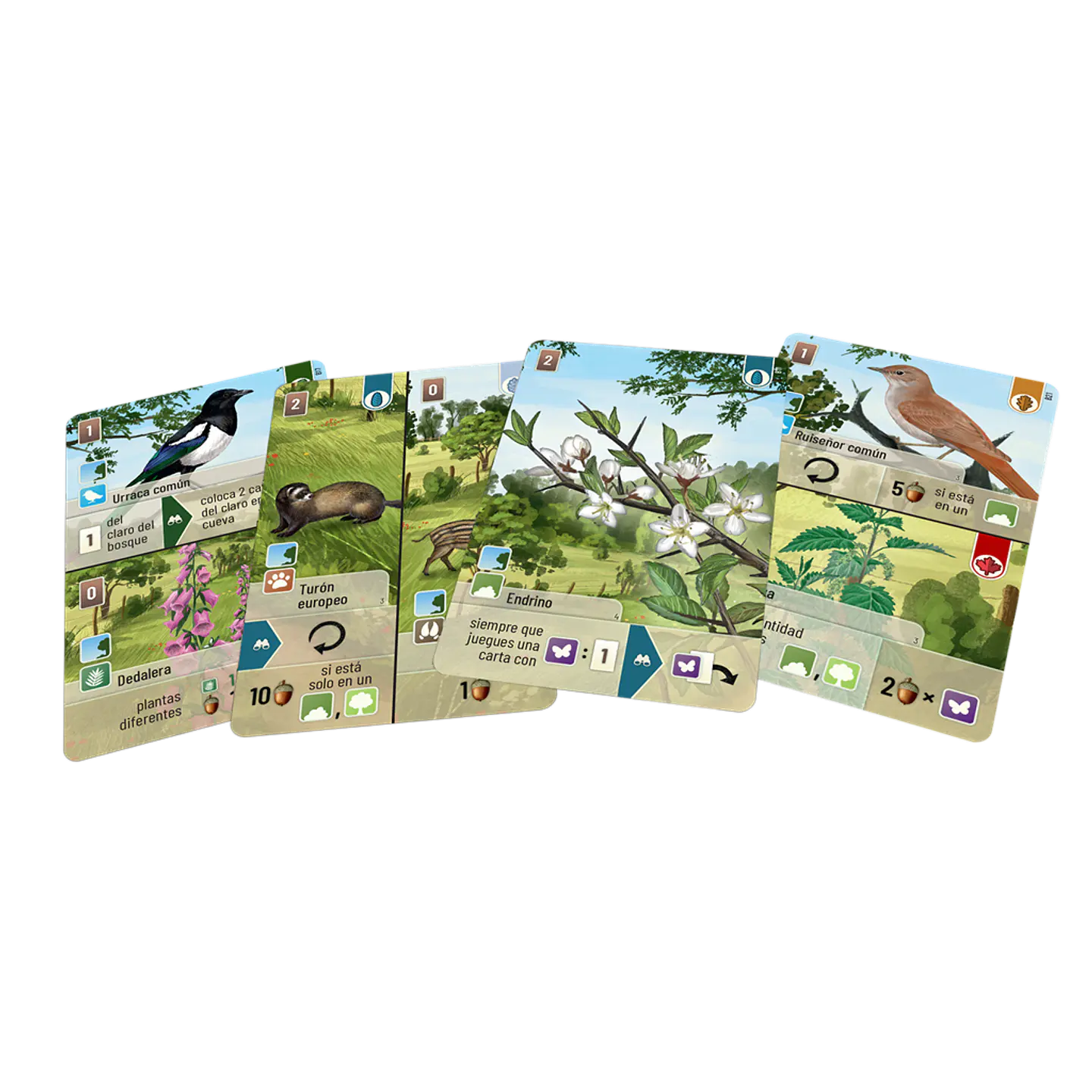 Forest Shuffle Linde del bosque - Español 2