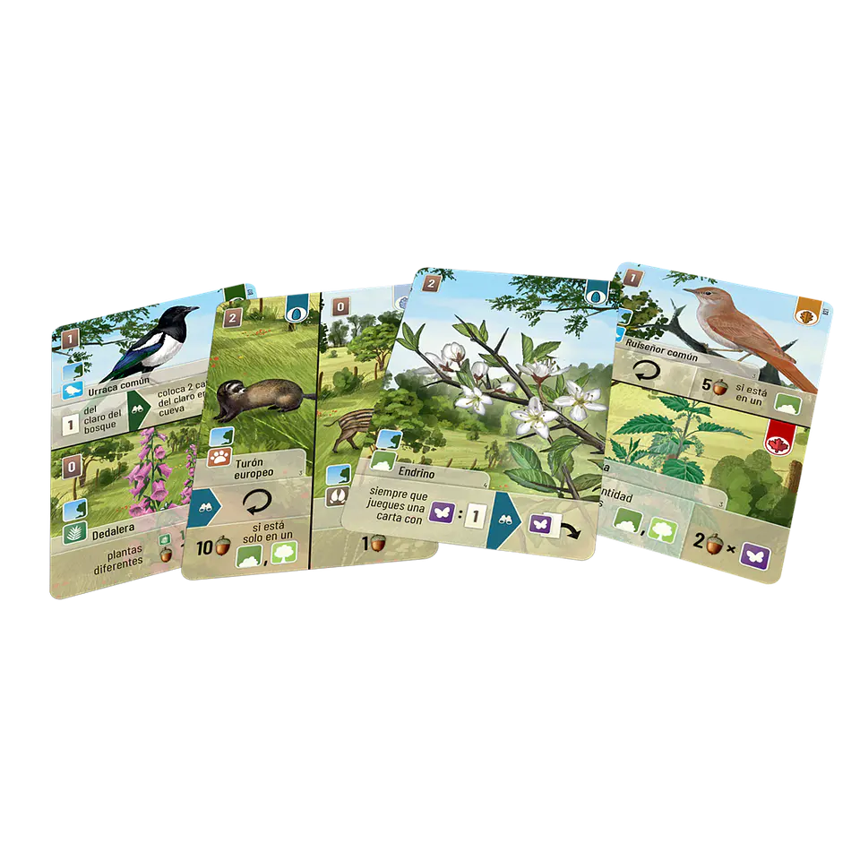 Forest Shuffle Linde del bosque - Español 2