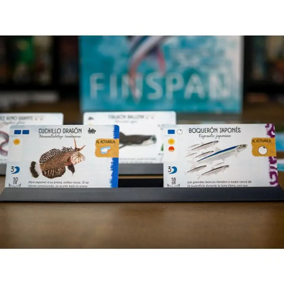 Finspan - Español 4