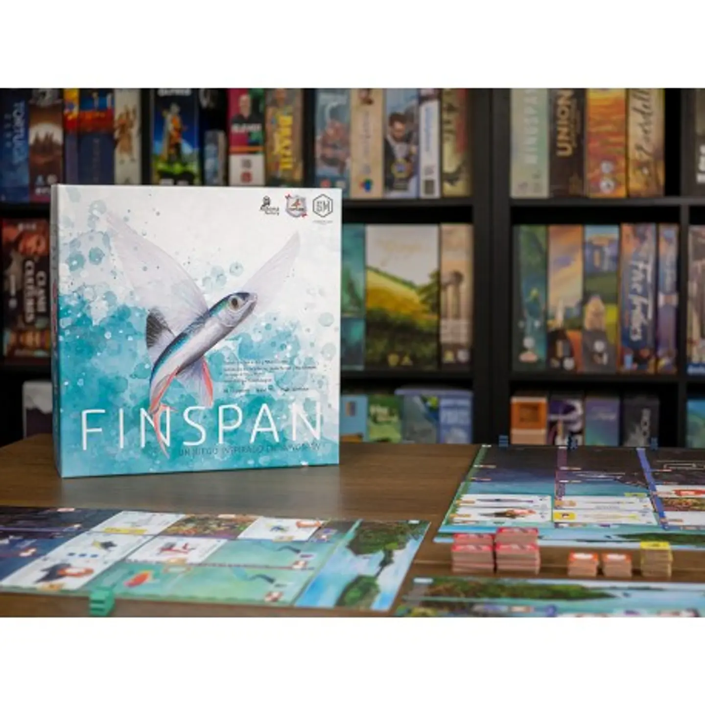Finspan - Español 5