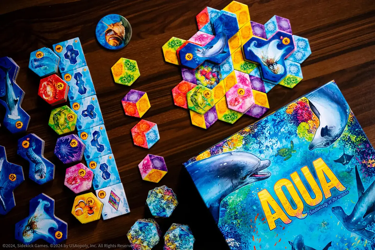 Aqua - Español 3