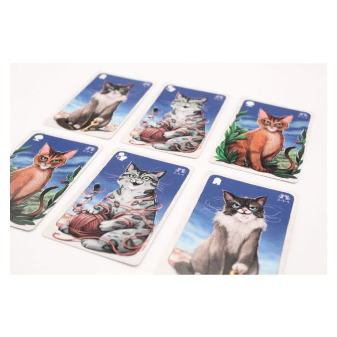 Cathood - Español 4