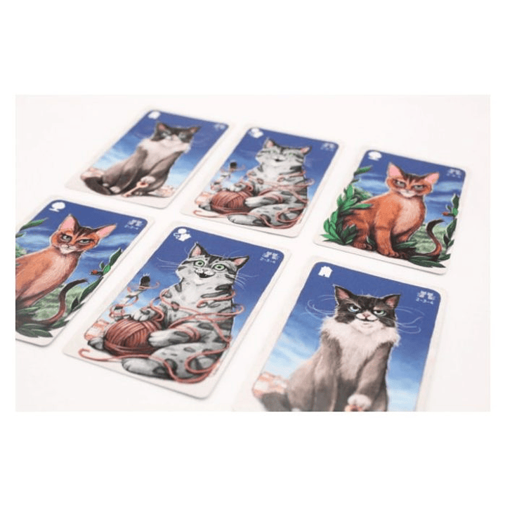 Cathood - Español 4