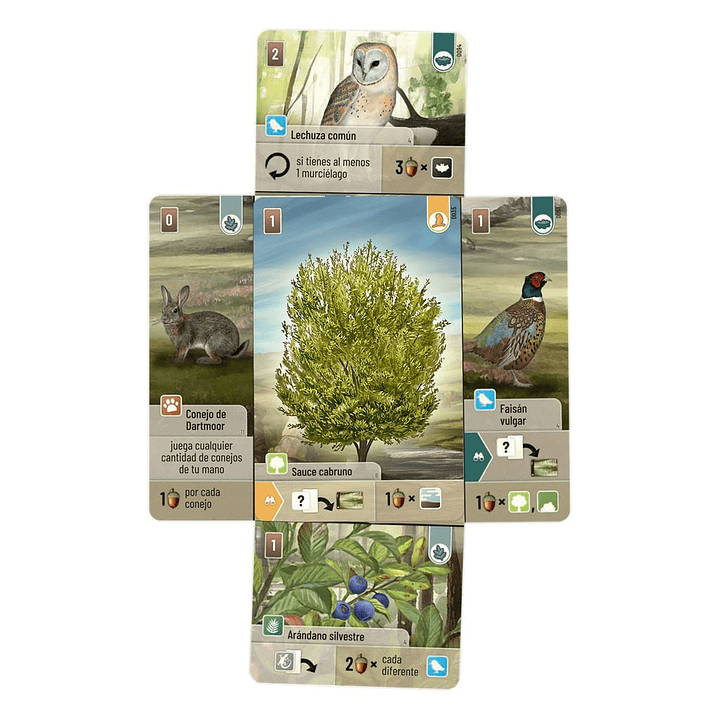 Forest Shuffle Dartmoor - Español 2