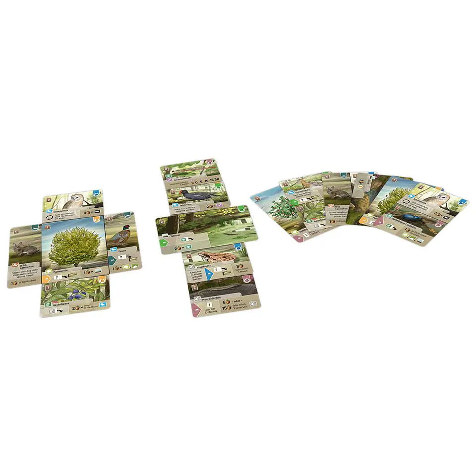 Forest Shuffle Dartmoor - Español 3
