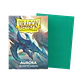 Dragon Shield: Protectores Matte 100u - thumbnail 3