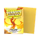 Dragon Shield: Protectores Matte 100u - thumbnail 17