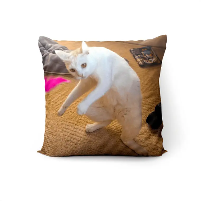 Cojín Gato Yo Lo Habia Ponido Aqui 45x45cm Vudú Love  1