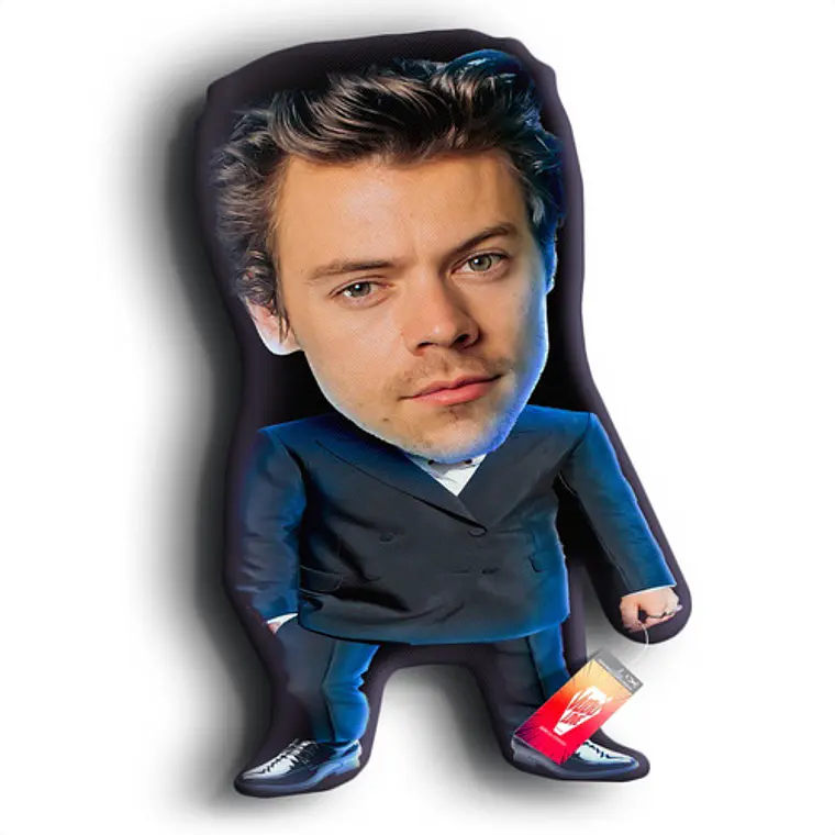 Cojín Harry Styles “El Harry Chiquito” 40cm Vudú Love 1