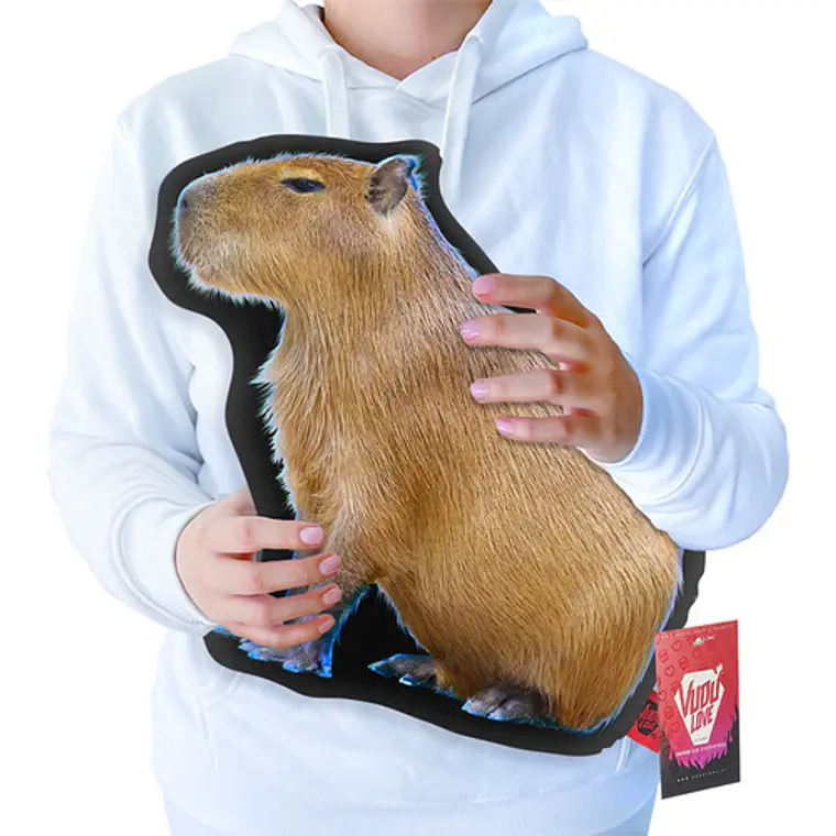 Cojín “El Capibara Chiquito” 40cm Vudú Love 1