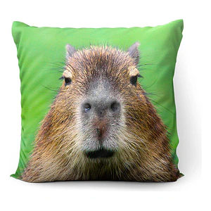 Cojín Carpincho Capibara Meme 45x45cm Vudú Love 