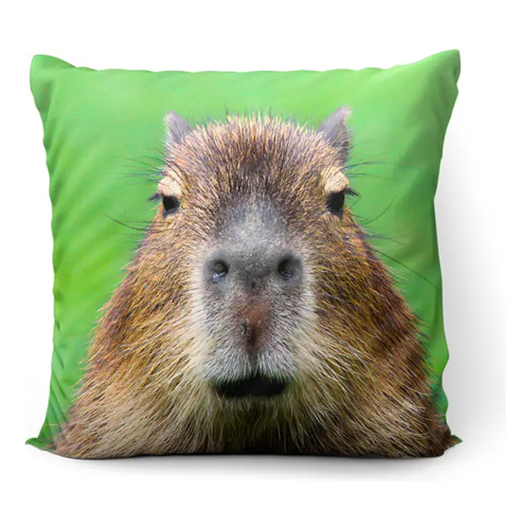 Cojín Carpincho Capibara Meme 45x45cm Vudú Love  1