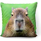 Cojín Carpincho Capibara Meme 45x45cm Vudú Love  - Miniatura 1