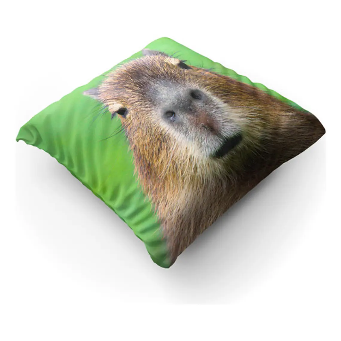 Cojín Carpincho Capibara Meme 45x45cm Vudú Love  2