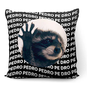 Cojín Mapache Pedro Meme 45x45cm Vudú Love