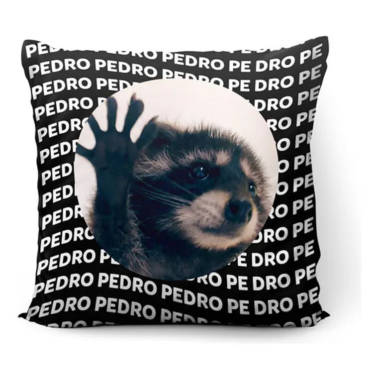 Cojín Mapache Pedro Meme 45x45cm Vudú Love 1