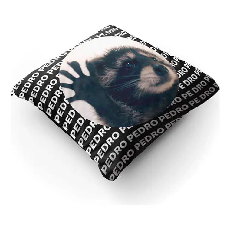 Cojín Mapache Pedro Meme 45x45cm Vudú Love 2