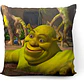 Cojín Shrek Meme Cursed 45x45cm Vudú Love  - Miniatura 1