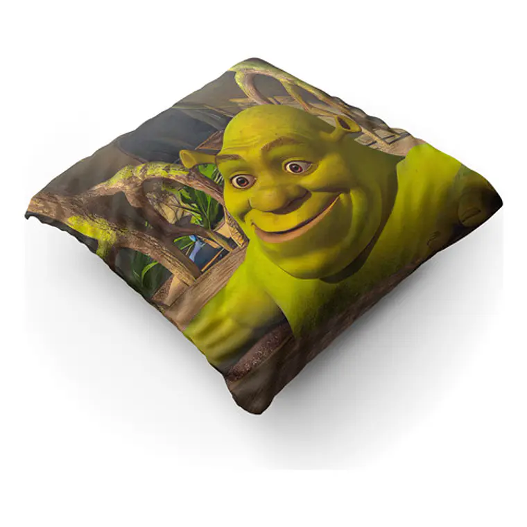 Cojín Shrek Meme Cursed 45x45cm Vudú Love  2
