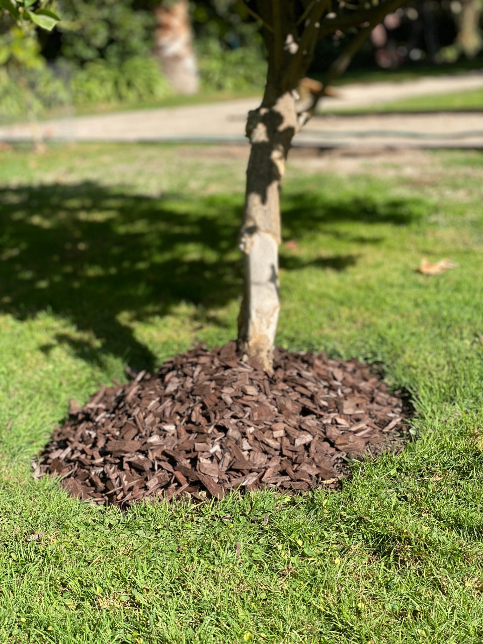 MULCH SACO 40 LTS.