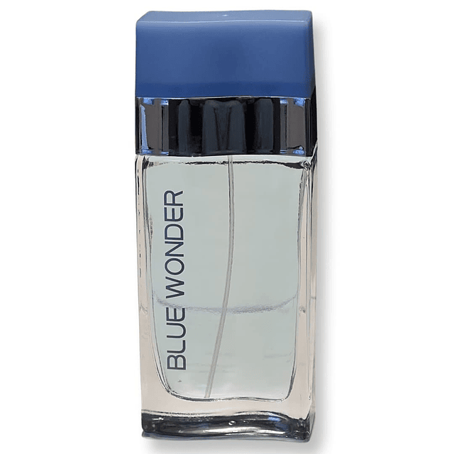 United Scents BLUE WONDER para mujer Eau de Parfum - Notas s